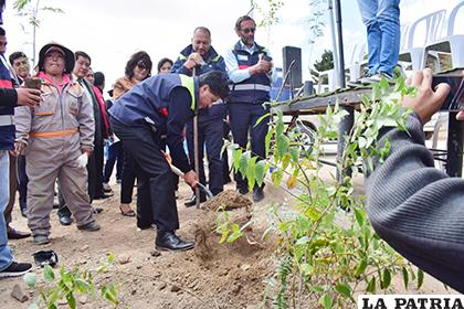 Alcalde inaugura campaña de arborización / LA PATRIA /Reynaldo Bellota