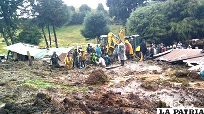 Torrencial lluvia ocasionó deslave en Colomi