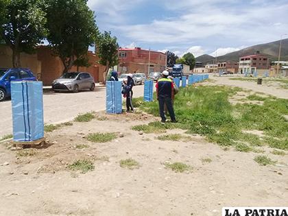 Forestación alcanza a diferentes zonas de la ciudad de Oruro / LA PATRIA