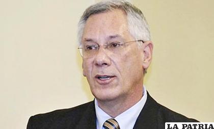 Rodríguez adelantó que la elección de los miembros de la CIDH se realizará en junio próximo en Colombia /EMOL