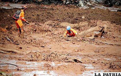 Brasil sigue en vilo en medio de una de sus peores tragedias mineras /cloudfront.net