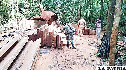 Decomiso de madera en Santa Cruz por parte de militares y funcionarios de la Autoridad de Fiscalización de Bosques y Tierra /ABT /ARCHIVO 
