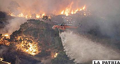 Los efectos del humo de los incendios empiezan a notarse / larevistadiaria.com/