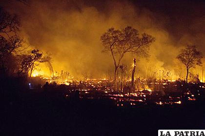 Santa Rosa de Tucabaca: el bosque de Chiquitanía cuando estuvo en llamas
/OPEN DEMOCRACI