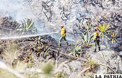 Alrededor de 250 hectáreas fueron afectadas por el incendio forestal /eldiario.com.ec