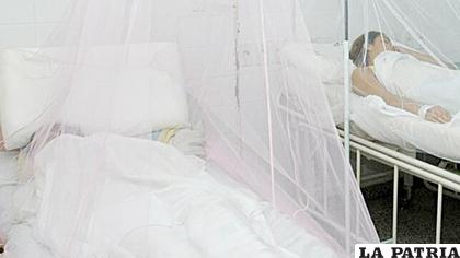 3.232 personas han enfermado de dengue en Honduras en lo que va del 2020 /EL DIARIO
