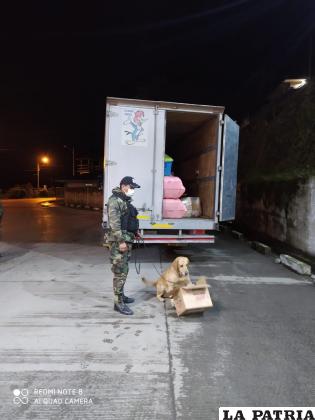 El labrador adiestrado logró encontrar sustancias controladas en un motorizado /Felcn