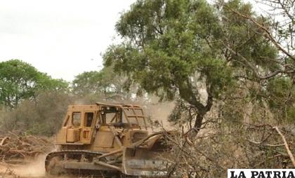 La deforestación del Chaco sudamericano avanza a gran escala /sudamericarural.com