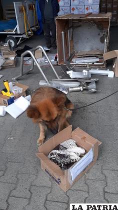 El can “Yako” encontró 420 kilogramos de cocaína en un paquete /Felcn