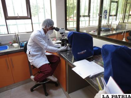 La CNS regional Oruro, cuenta con su propio laboratorio molecular /CNS