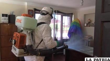 Sedes realiza labores de fumigación en varias entidades públicas /Sedes