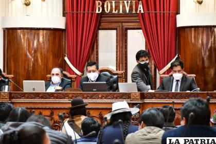 El Pleno de la Cámara de Diputados en debate de la Ley de Emergencia Sanitaria /Cámara de Diputados