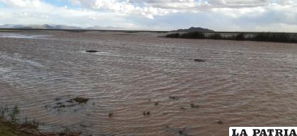 El agua anegó varios sectores en el área rural 
 /LA PATRIA
