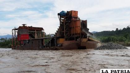 Mineros auríferos explotan oro en los ríos
