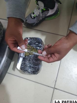La sustancia dio positivo para marihuana /cortesía