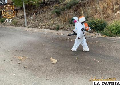 Al inicio de la pandemia se hizo común la desinfección con pulverizadores en espacios abiertos. Hoy se sabe que no es efectivo /gAMO Archivo