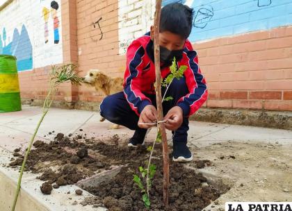 Estudiantes de La Kantuta 2 adoptaron los arbolitos /GAMO 