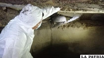 Se cambió la continuidad de la trayectoria de las aguas /gamo