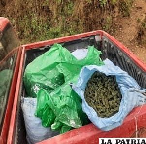 Los más de 46 kilos de marihuana fueron secuestrados /Jaime Mamani 