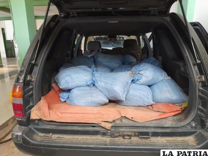 Recuperaron aproximadamente 99 kilos de mineral /Archivo LA PATRIA