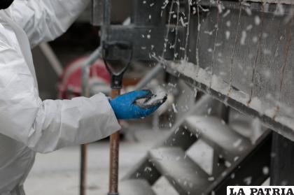 La producción de carbonato de litio inició en 2013 y hasta 2018 determinaron parámetros óptimos de operación /YLB
