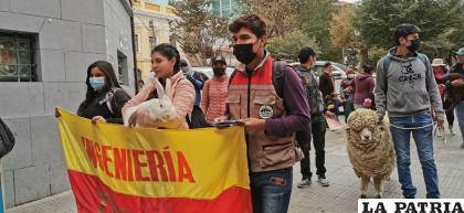 Llevaron un caballo para la socialización de su carrera /LA PATRIA