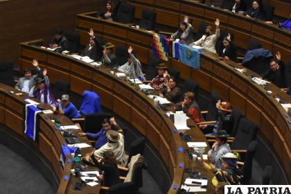 La Asamblea Legislativa Plurinacional /APG Archivo