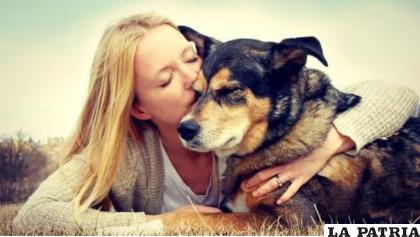 Los perros carecen de lenguaje, pero tiene comportamientos que demuestran el cariño que sienten por sus dueños /Infobae Archivo