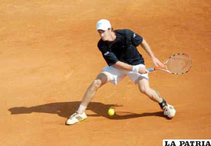 El tenis ingresa en actividad en esta temporada