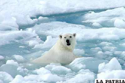 El océano Ártico está desapareciendo mucho más rápido que lo previsto