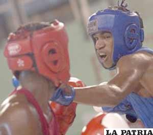 Varias delegaciones confirmaron su participación en el Campeonato 
Panamericano Juvenil de boxeo
