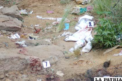 Algunas pistas y manchas de sangre encontradas en el lugar