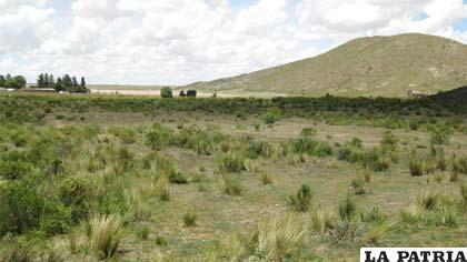Terreno en Chusakeri, donde se pretende hacer realidad un Centro Oncológico para Oruro