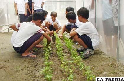 Una decena de niños remueve la tierra y arranca las malas hierbas en el invernadero del colegio Santa Rita en las afueras de Manila