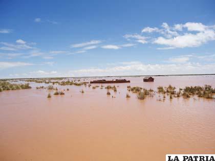 Los productores del departamento de Oruro sufrieron pérdidas millonarias por los efectos del clima, sequía, heladas e inundaciones