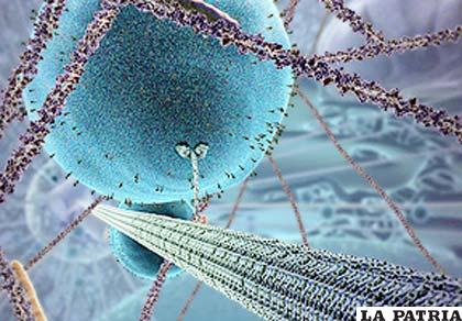 El microscopio podrá obtener imágenes tridimensionales de las células y los cambios de los tejidos sin necesidad de dañarlos