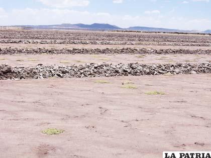 Parte del Departamento de Oruro, las lluvias todavía no cumplieron su parte benéfica para la agricultura y ganadería