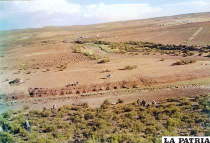 Comunarios de Potosí volvieron a avasallar territorio orureño