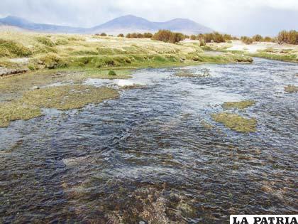 El territorio boliviano cuenta con una gran cantidad de cuencas que deben ser conservadas