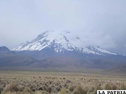 El majestuoso nevado Sajama
