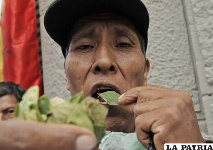 Gobierno desconoce la cantidad de consumo y demanda de la hoja de coca
