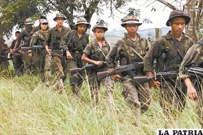 Miembros de la guerrilla colombiana