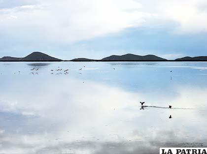 Estudio muestra que aguas que van al lago Poopó están contaminadas
