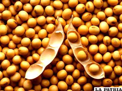 La soya tiene gran contenido de folatos, vitamina K, calcio, magnesio, hierro y fibra