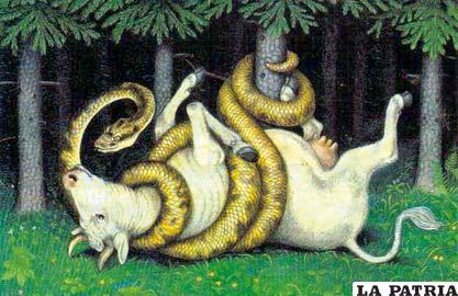 Las serpientes tienen mitos, cuentos y leyendas en todo el mundo