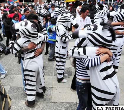 Las cebras instituyen el día del abrazo