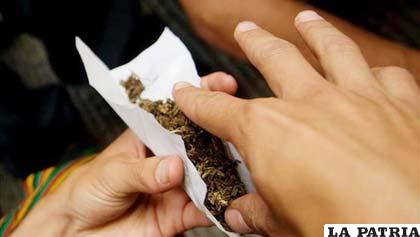 Propuesta ciudadana para la legalización del cannabis con usos recreativos se aprobó en elecciones legislativas de noviembre