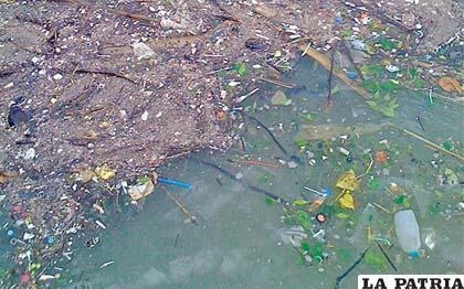 Residuos  plásticos son los más comunes en el mar
