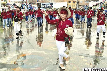 Paso coqueto de los llameros de la Zona Norte