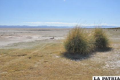 El lago Poopó, de humedal de importancia internacional a desierto